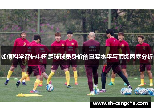 如何科学评估中国足球球员身价的真实水平与市场因素分析