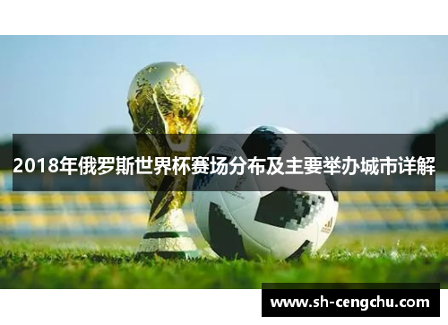 2018年俄罗斯世界杯赛场分布及主要举办城市详解
